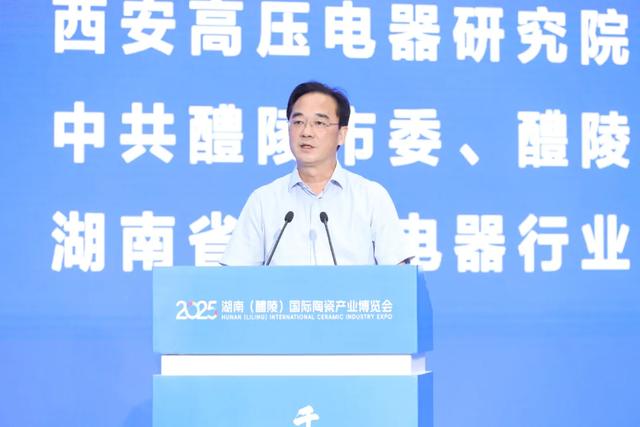 2025湖南（醴陵）电瓷电器产业“创新与全球化”发展论坛举行