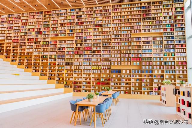 【乐游烟台】烟台这几家“不正经书店”火了！读书还能这样？