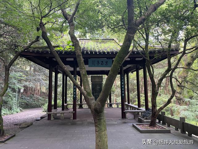 号称“杭州最雅致景点”来过吗？以竹海取胜，还有着隐藏玩法！