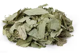 补阳药比较图片