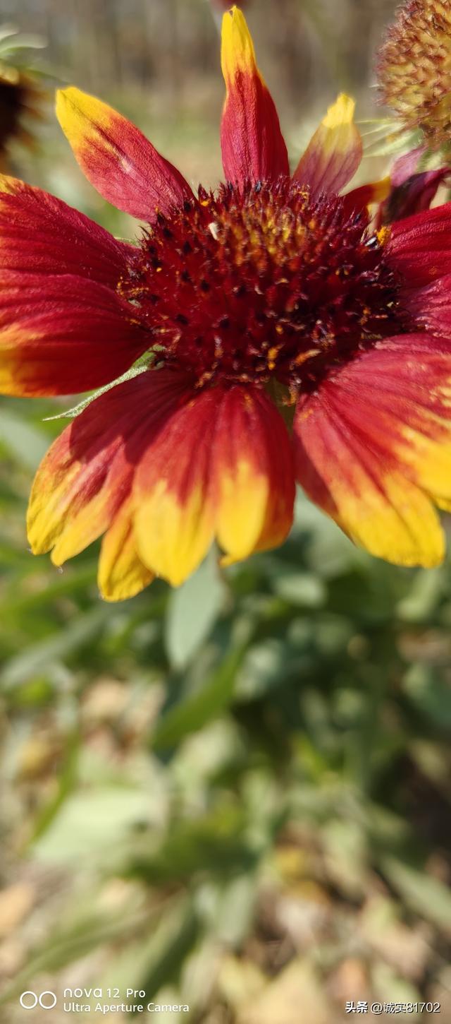 情怕骗，心怕伤，爱怕哄骗，信任怕伤害