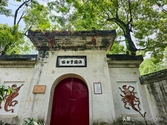 成都徒步（68）·彭州篇⑮佛山古寺&镇国寺宝塔