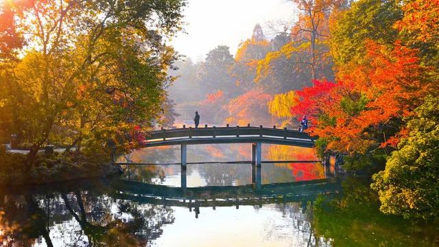 国内多家景区，扎堆宣布免门票，究竟是怎么了？