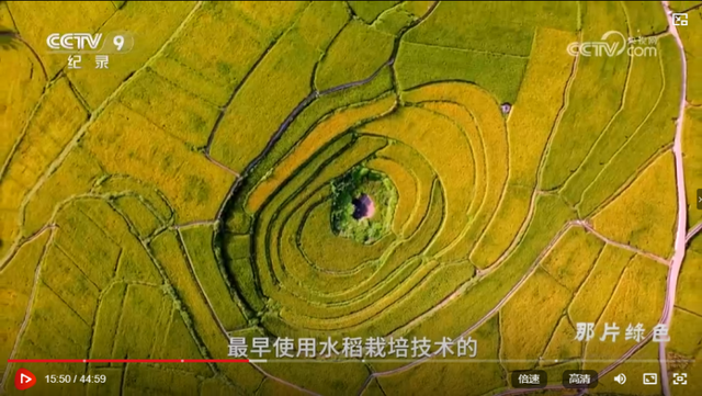 央视大片《珠江》里的从化！从岭南古村解码多元文化的交融之道