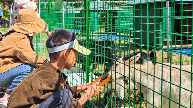 @everyone,初冬来老北山撒欢吧!