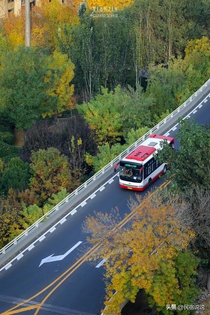 “狗都不理”的天津，看到这些知道我又错了！