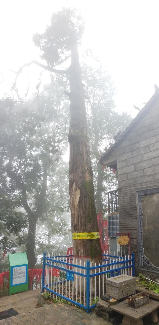 终南山.南五台—不负遇见