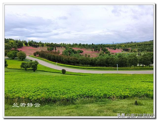 云南弥勒：太平湖森林公园的大地艺术作品