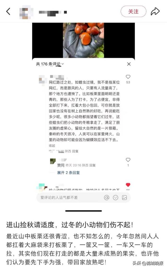 游客秦岭“捡秋”采摘大量野生板栗被指破坏环境，当地环保部门呼吁“适度采集”