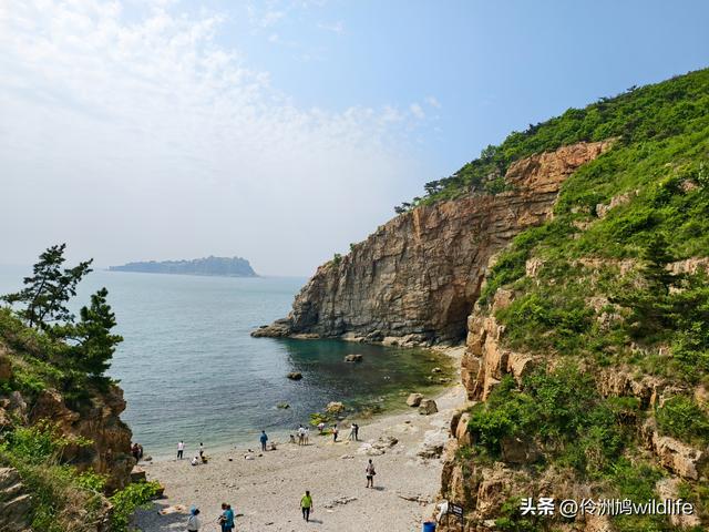 大连海之韵公园·棒槌岛