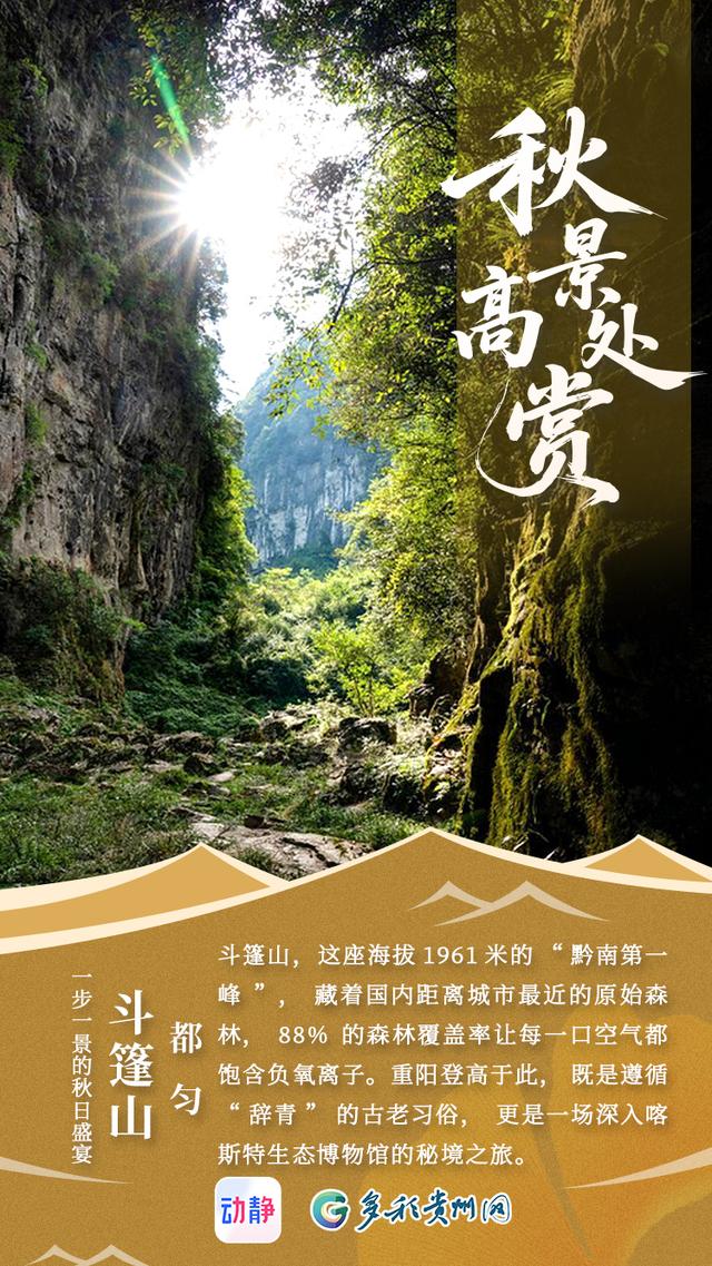 秋景高处赏，请收藏这份贵州重阳登山指南