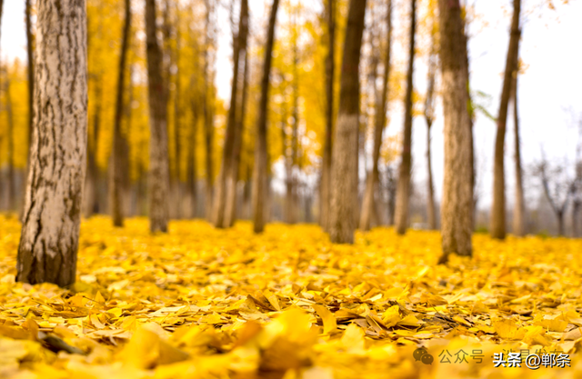 涉县：美拉德配色里，藏着橙黄橘绿的诗意