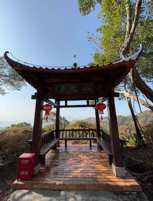 厦门植物园海豚石，山顶一块岩石，因生动的外观而备受登山者喜爱