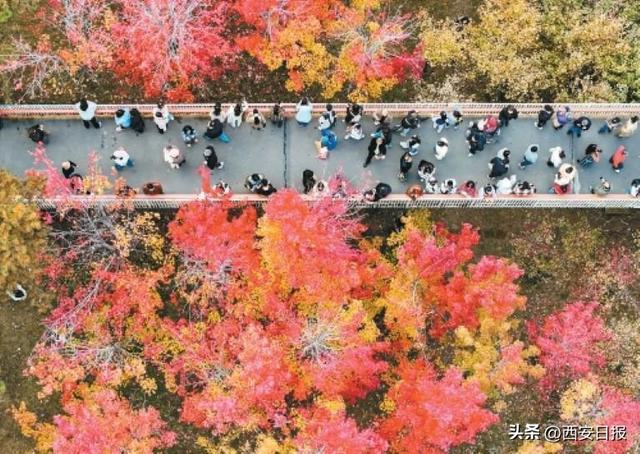 “秋与城的交响”