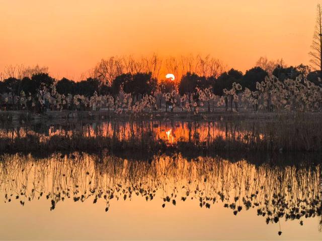 “赛里木湖扬州分湖”，扬州再添一网红打卡地