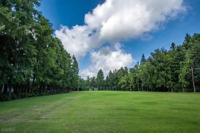 上海值得去的6个公园推荐！全部免费，好看又好玩！你都去过几个