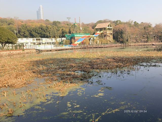 行走在月湖公园