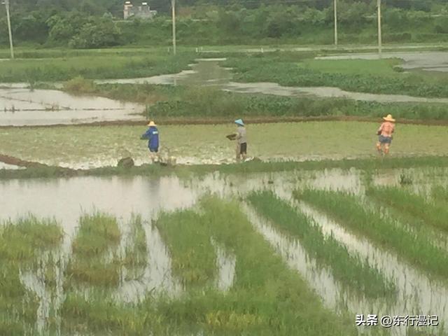 粤西三市：茂名县比市更有名，阳江和湛江谁是幸福城？