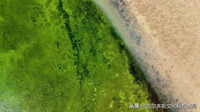 美到失语！秋天的七星湖，是上帝打翻的调色盘