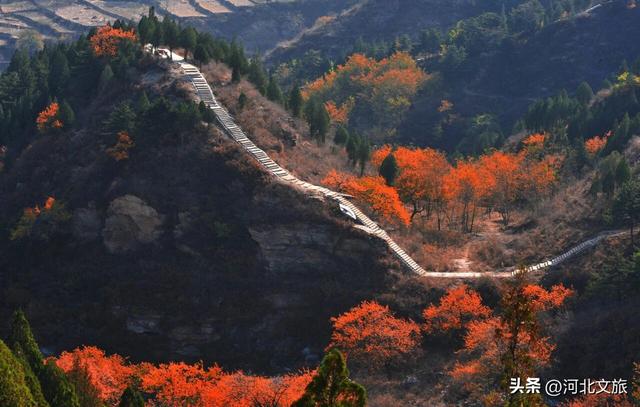 秋日必冲的保定“天然氧吧”出炉，每个都是国家级秘境