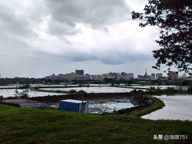 南海金沙岛国家湿地公园