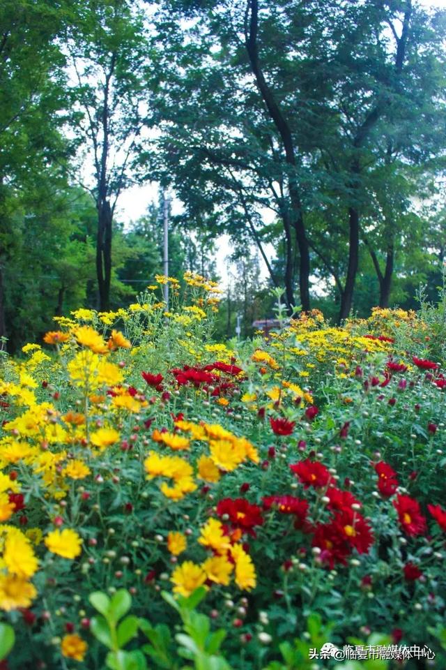 飞阅花都④丨漫步东郊公园 邂逅秋日风光 静享“天然氧吧”