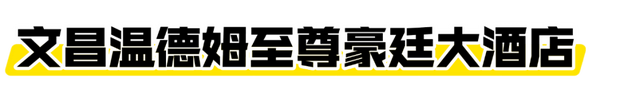 海口经济圈 | 文昌宠粉福利来袭→