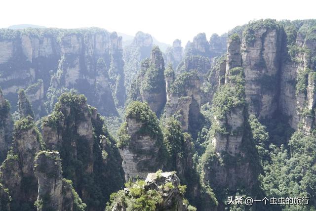 袁家界：地球的‘盗梦空间’！与2亿年的石英砂岩对视，这悬浮山