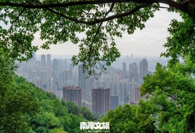 离不开的南岸 | 我在262.41平方公里的“家”里，一觉醒来！