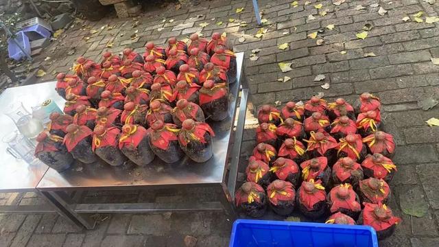 齐鲁天路（诸城段）好品好物｜南湖区风物集萃