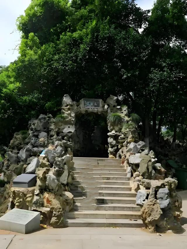 中山公园的菊花