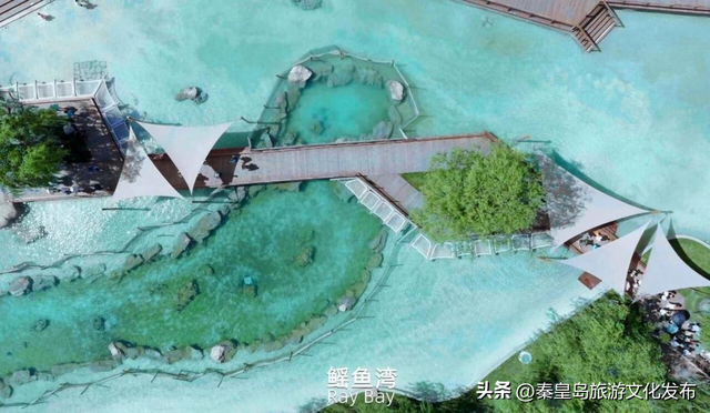 2025年度盘点（旅游篇）：新质生产力赋能全国滨海旅游目的地建设
