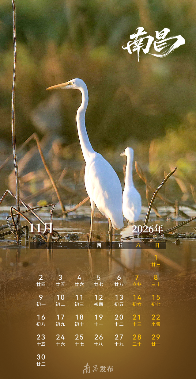张张精美！2026南昌版日历来了