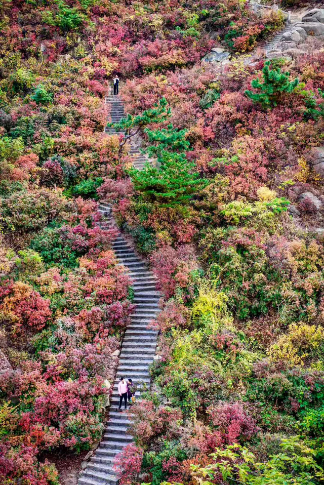 山景正宜人！青岛这里的山，已美到Next level
