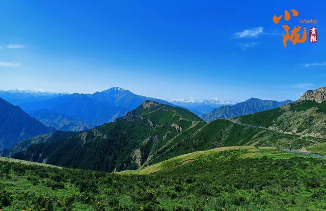 【小陇画报·406期】红石窝草原的秋 藏在高山上的诗意