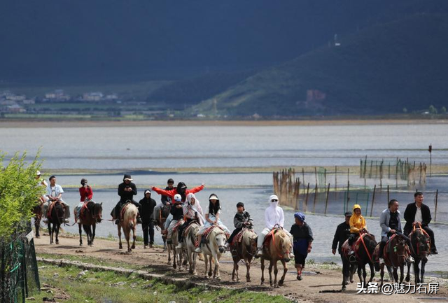 旅游的热度和凉爽的温度，我全都要！｜有一种叫云南的生活之365天