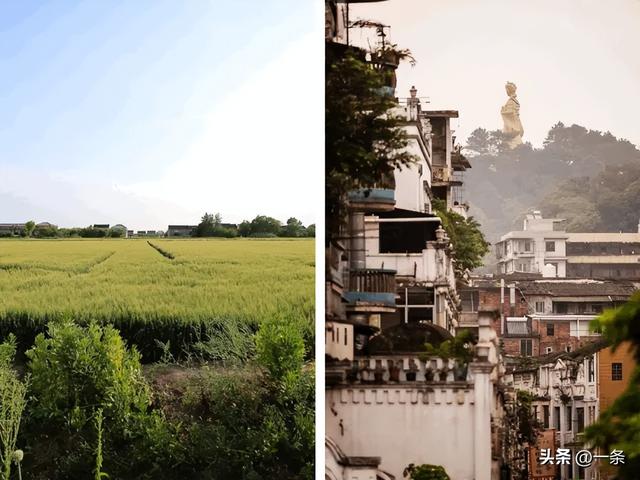 亲历行业寒冬，上海夫妻在老小区一楼改出80m²野地：治愈自己