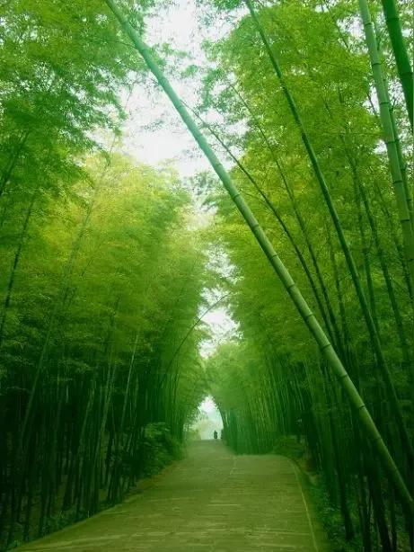 手机壁纸精美图片（112）