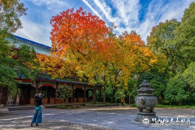 给个准信！盼了又盼的秋日“顶流”全部上线