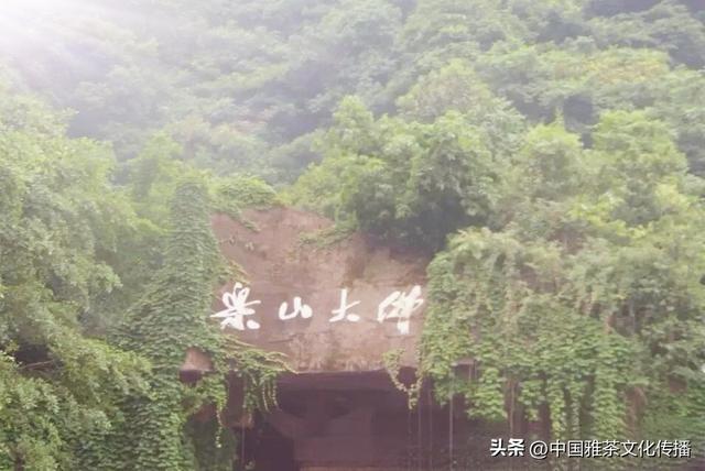 三江烟雨一壶茶
