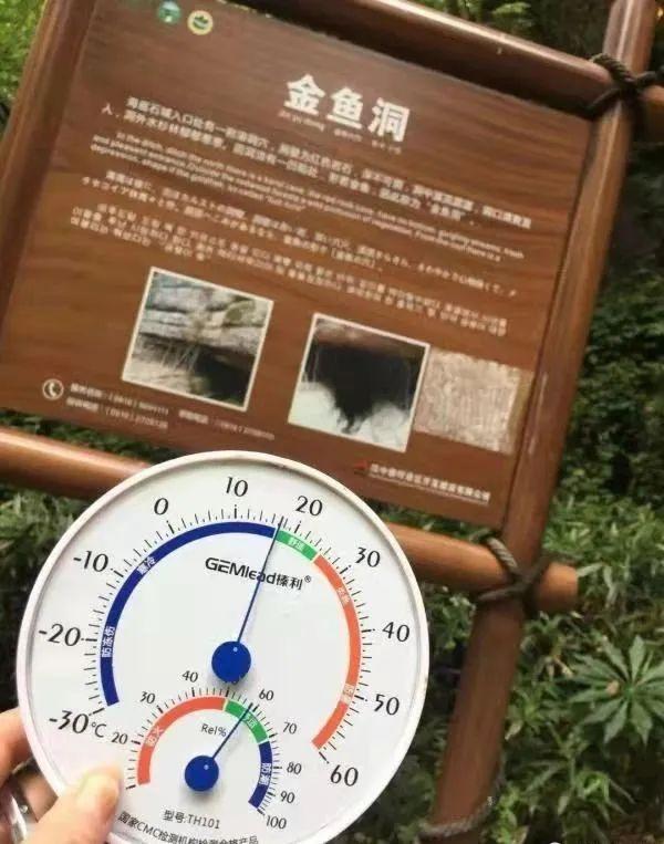 半价优惠！黎坪景区和留坝山水联动！为您打造“清凉续集”→