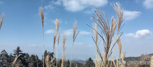 徒步奉化大雷山，古村、古道、梯田、秋景全部包揽