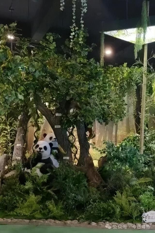 秋假已实锤！不知道去哪儿？来绵竹耍，给你完美攻略……