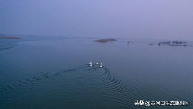 【黄河口生态旅游区】“12.4”国家宪法日——当黄河潮涌遇见法治之光