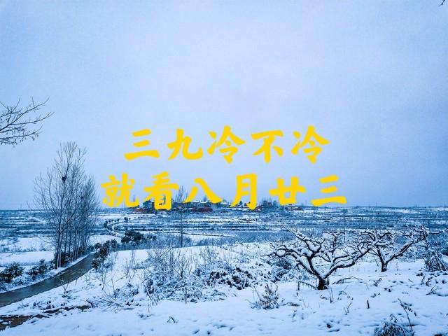 老话“三九冷不冷，就看八月廿三	”	，是啥意思？今年冬会很冷吗？