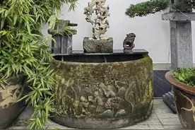 有了院子，一定要放个水缸。图片