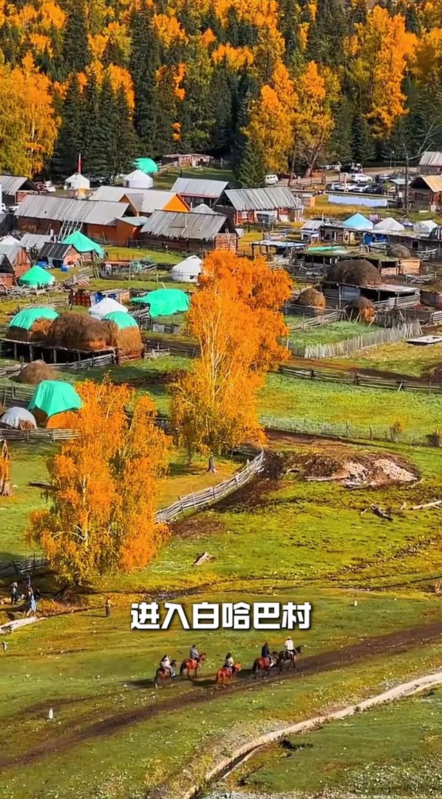喀纳斯才是秋景顶配！入秋过后的这里，藏着全年最浓的色彩暴击