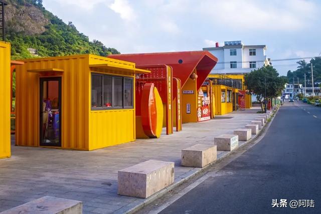 跑苍南黄金海岸线时走错路，邂逅离海浪沙滩最近的荷塘，花开仍艳