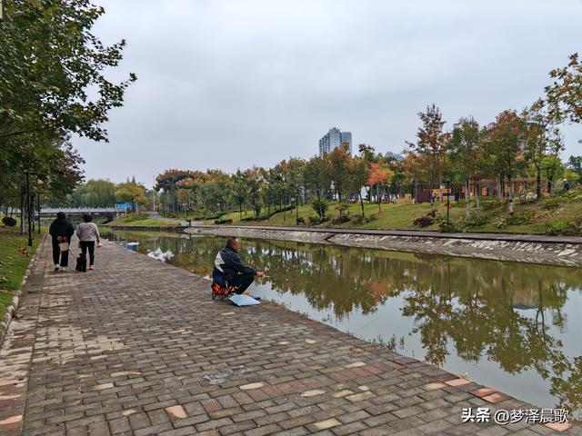 云梦生态浮岛的三重奏