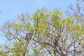 近期在昆明，这件事务必做好图片